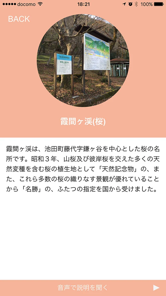 IKEDAスポット — 制作資料 02
