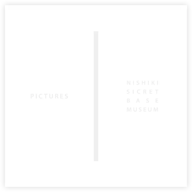 PICTURES BOOK
